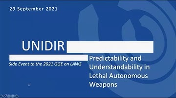 Predictability and Understandability In Lethal Autonomous Weapons
