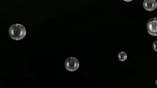 Tuci Tayfur Gel Gündüzle Gece Olalım