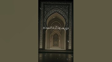 #islamsobhi #قران_حالات_واتس #حالات_واتس #سورة_الحجر #راحة_نفسية #تلاوة_هادئة #اسلام_صبحي