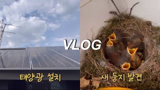 [타운하우스vlog] 태양광설치, 4층 옥상에서 새 둥지 발견!!ㅋ 귀여움 주의@nayanamina