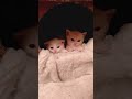 😺Начинаем изучать мир😺