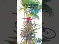 #viral janmo ke rishte #viral shorts new #bollywood music #funny #viral desai new #viral #new short