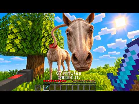 Creepy Horse