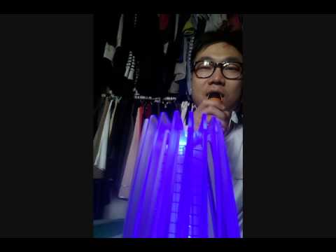 [everysing] 낭만 고양이