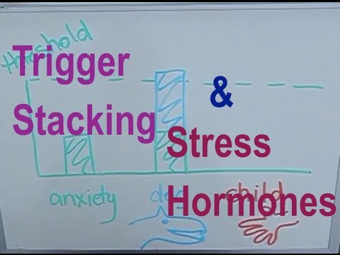 Video: Understanding Dog Trigger Stacking