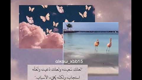 ‏تلاوة قرآن ( ولله يقدر الليل والنهار علم أن لن تحصوه فتاب عليكم ...) ارح سمعك 🦋✨