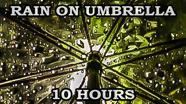 Relaxing Rain Sound Under Umbrella - 10 Hours Video - DayDayNews