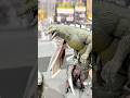 RARE Movie Monster Series Godzilla Figures! Inside Japan’s Godzilla Store! 🤯 #shorts