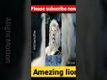 #Amezing Lion