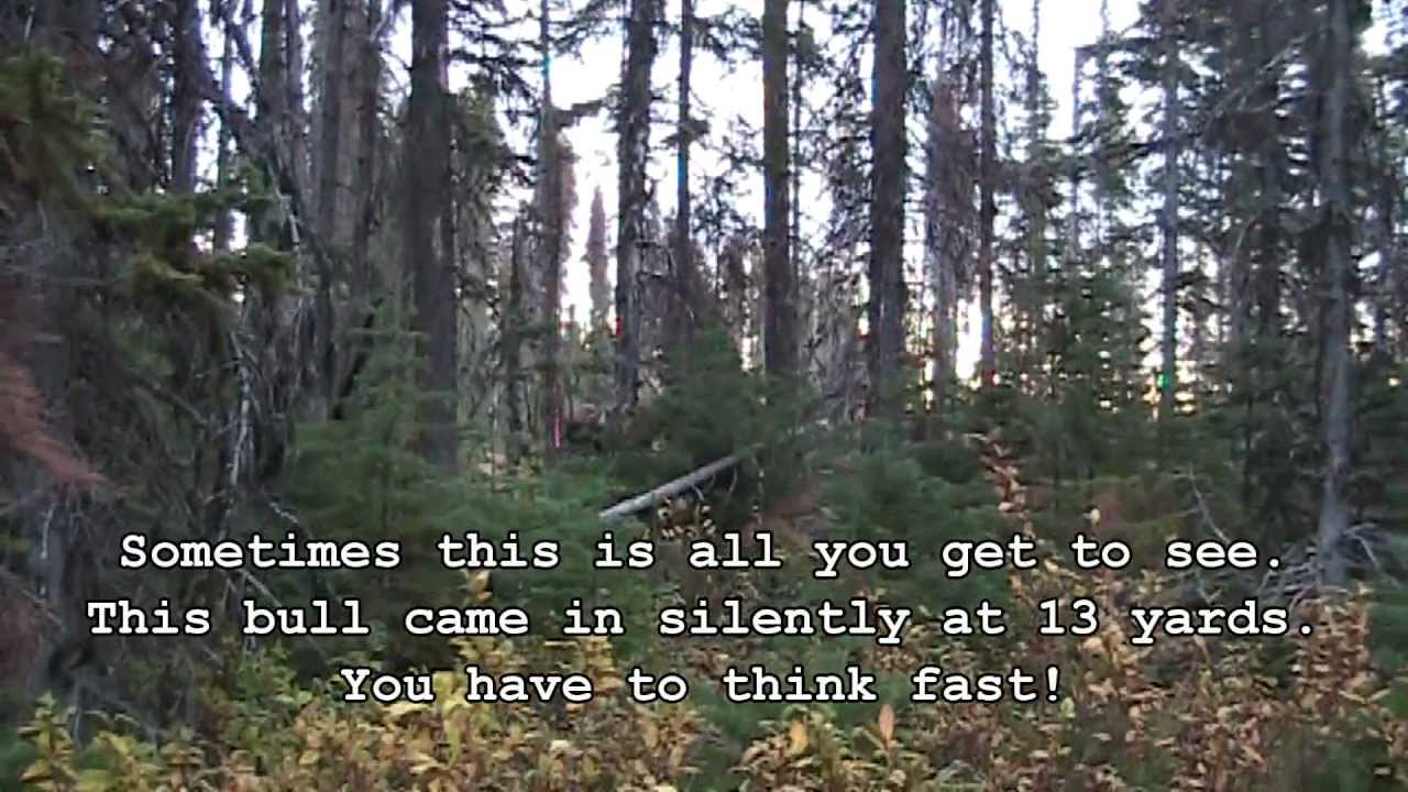 Smithers Moose Hunt 2012 - Can You Think Fast? 