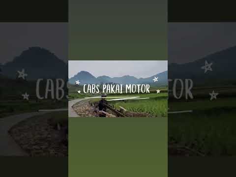 cabs pakai motor yonglexs