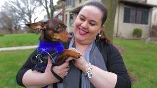 SPCA Cincinnati Mission 2021