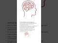 Artificial Intelligence for Data Management