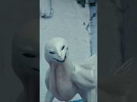 صور نادرة لم تراها من قبل الجزء 64 