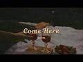Room. - Come Here (Official Lyric Video)