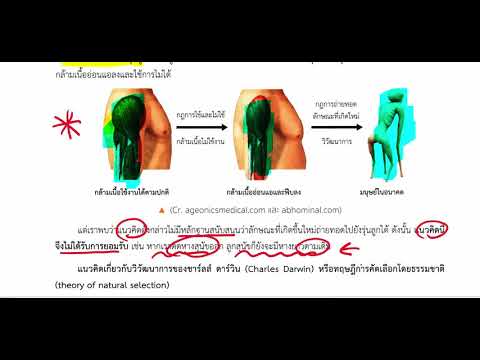 บทที่ 18 วิวัฒนาการ ตอนที่ 02 แนวคิดเกี่ยวกับวิวัฒนาการ