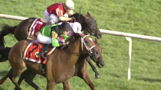 THE PIZZA MAN wins The Arlington Million, August 15, 2015
