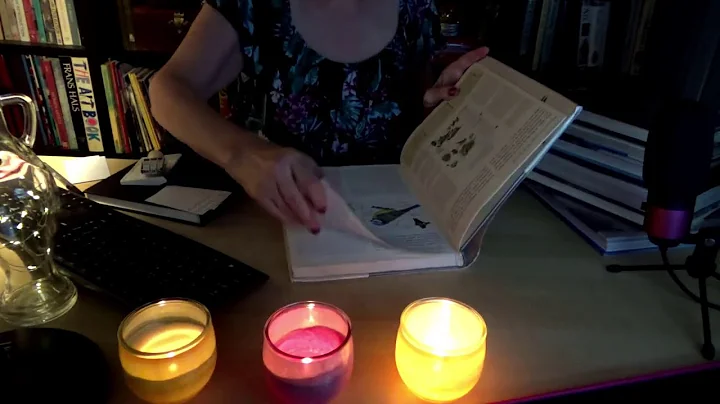ASMR | Library Roleplay! Stamping - Typing - Inaudible Whispers - Writing - Candlelight - Books