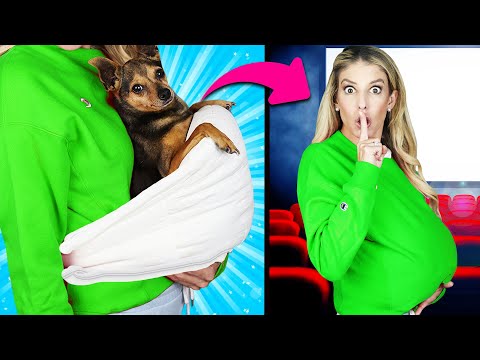 5 Ways to Sneak our Dogs into the Movies Challenge! PawZam Dogs