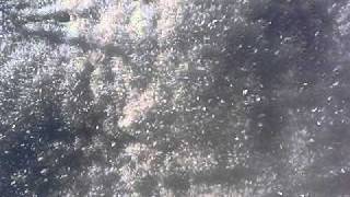snow glint