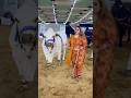 lo a Gai qurban lo a Gai qurban 🥺🥺🥺