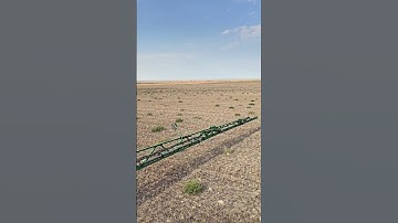 Weed-it works well on these weeds.  It