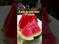 скоро лето.. #пятница #лето #youtube #