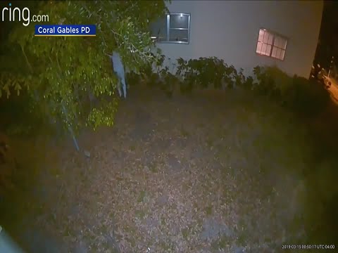 WEB EXTRA: Suspected Peeping Tom Arrested In Coral Gables