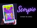Scorpio amazing! Your ancestors are delivering your true love!💖Bonus Tarot Reading