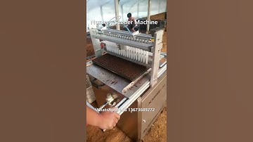 Semi Automatic Seeder Machine - Nursery Tray Seeding Machine from Taizy 2023 #seedlings