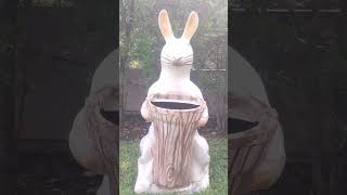 #sasa re sasa disato kasa #panhala fort #triptourandtravel