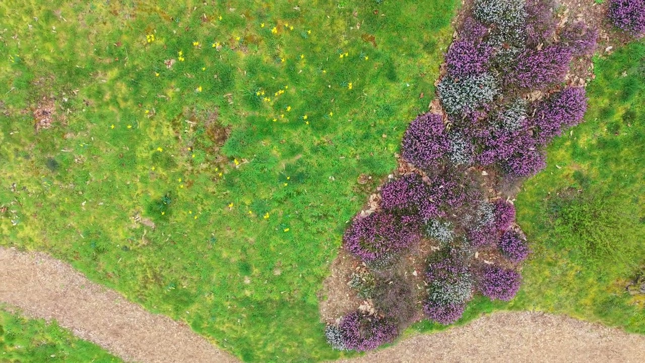 Le haut du Sentier Botanique de Romarin