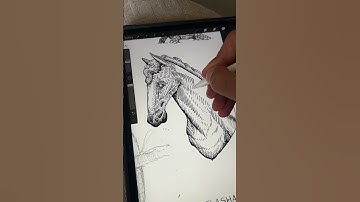 Crosshatching using Procreat on iPad pro