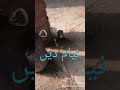 نیام دین mp3