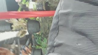 Sholawatan campursari Versi Gamelan