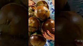 Ice Apple Coconut Cooler #food #recipe #cooking #foodie #youtube #shorts #youtubeshorts