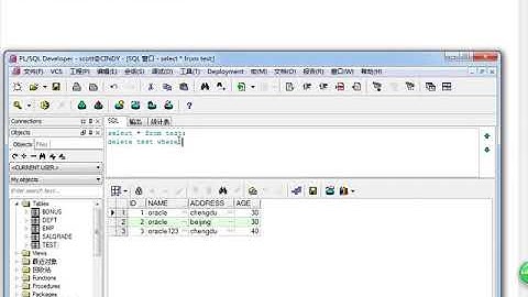 Java Web进阶 Oracle 12 Delete语句