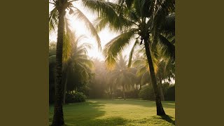 Chill Under the Palm Trees