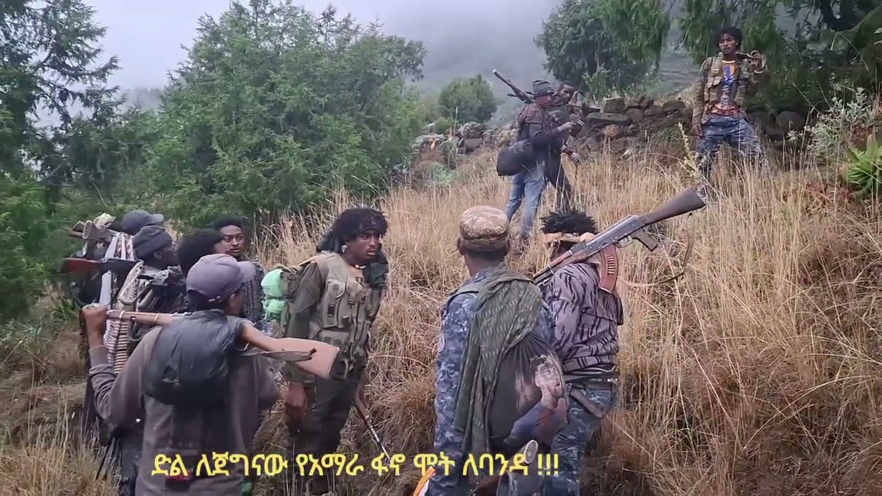 የአማራ ፋኖ ሸዋ ጠቅላይ ግዛት ዕዝ የአርበኞች ጦር ሰራዊት ሀይሌ ብርጌድ