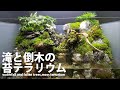 滝と倒木の風景を作る(苔テラリウム)