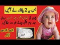 2 powder 2  2  bacha fit bacho ki khansireshabalgamnamoniaband chatithand lgny k lye