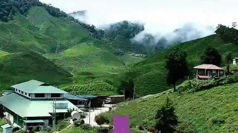 سورة المعارج للشيخ " رعد محمد الكردي " خاشعة جداً