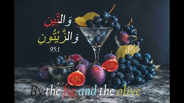 Surah At-Tin (The Fig) |  | سورة التين