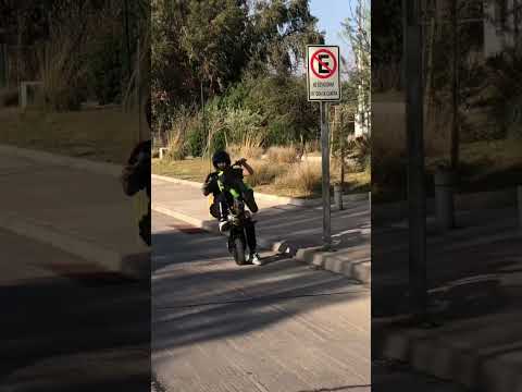 #wheelies pitbike &