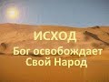 Бог освобождает Свой Народ - Исход - Франсуа дюПлесси (8012)