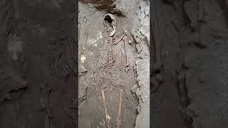 Archaeologists may have found d’Artagnan’s remains 350 yrs after legendary musketeer’s death #shorts