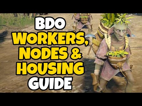 BDO Worker, Node and Housing Guide for Beginners