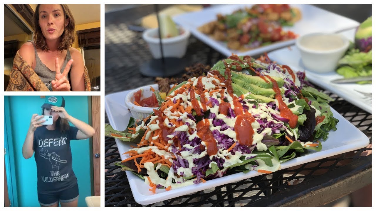 Non Vegan Family Road Trip // SMALL TOWN VEGAN TIPS