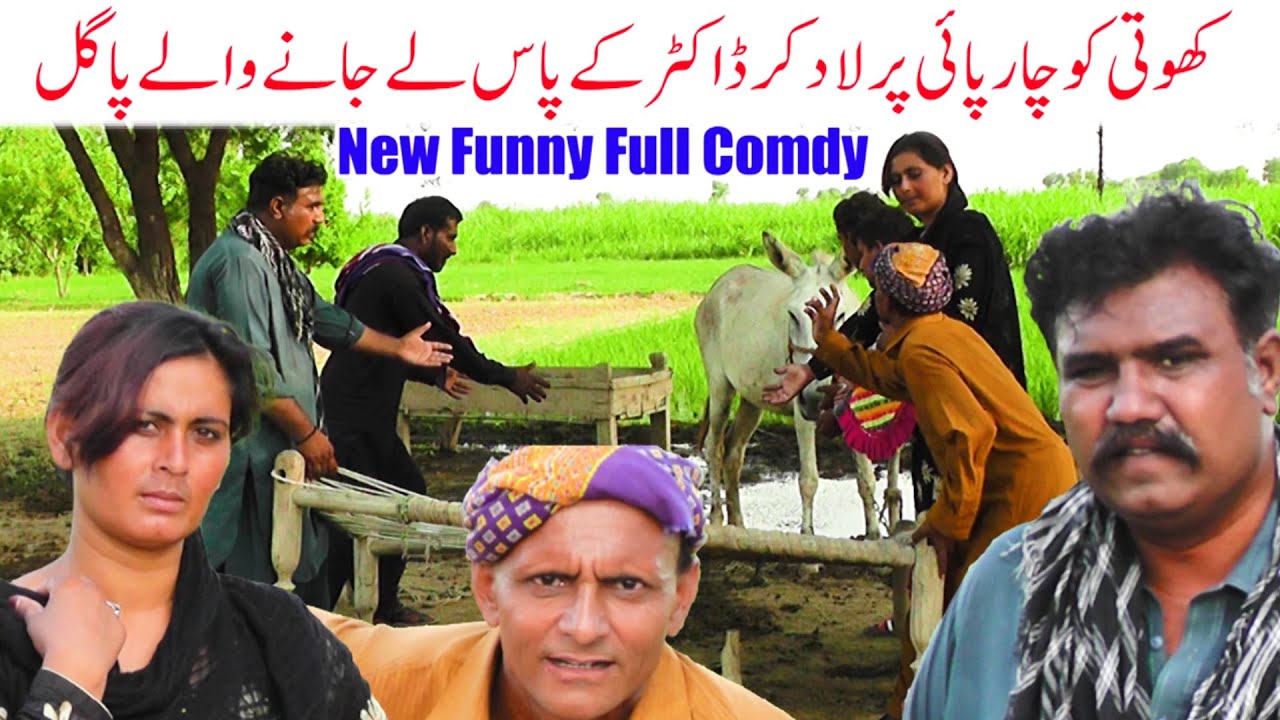 KHOTI WALE PAGAL NEW FUNNY 2026 COMEDY GHAFOORA FUNNY  TV,GHAFOORA SULHI,LADO