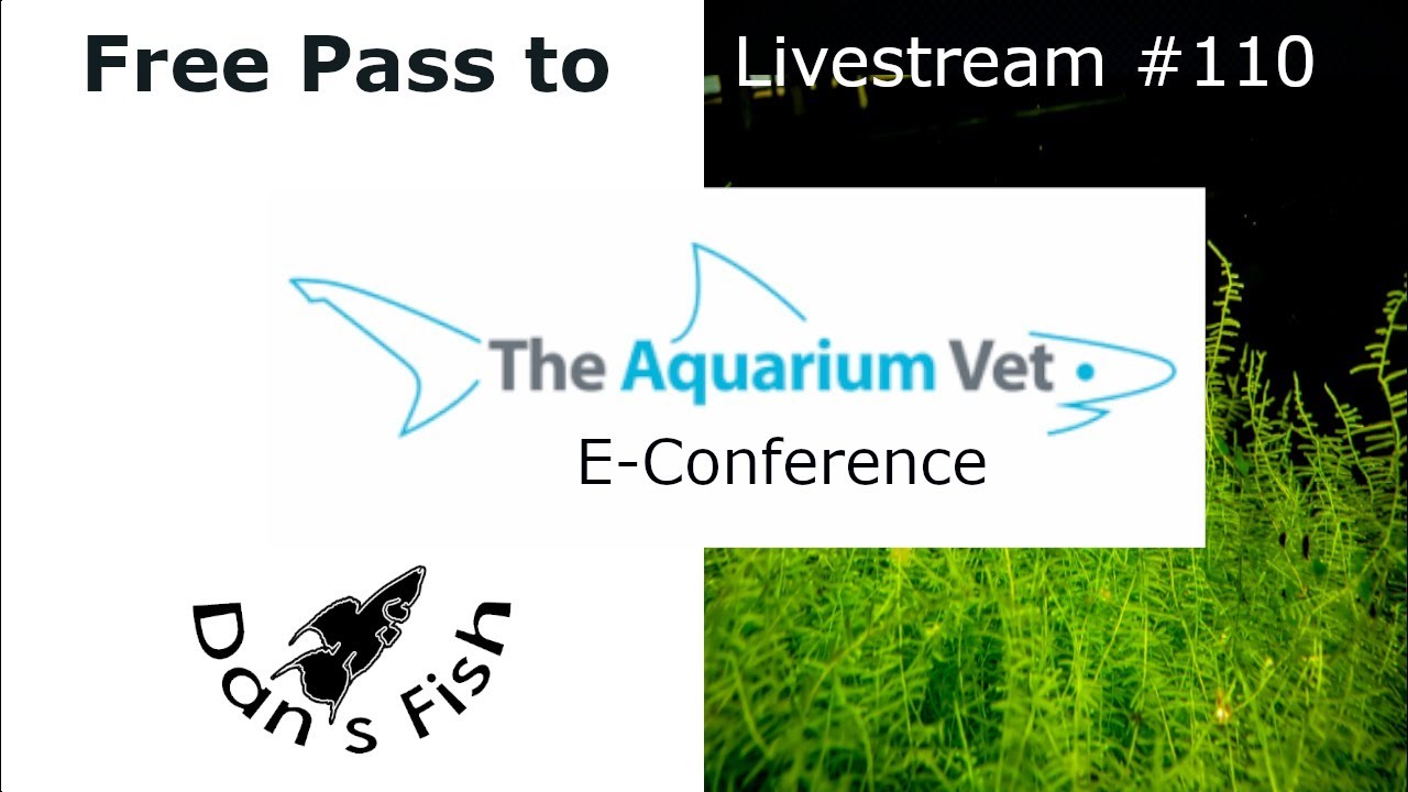 Aquarium Veterinarian Conference Pass Giveawary Livestream 121 YouTube